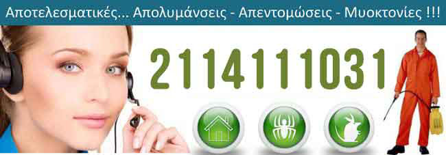 Απολυμάνσεις Άνδρος